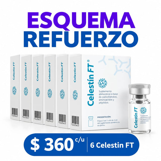 Celestín FT 6 Unidades